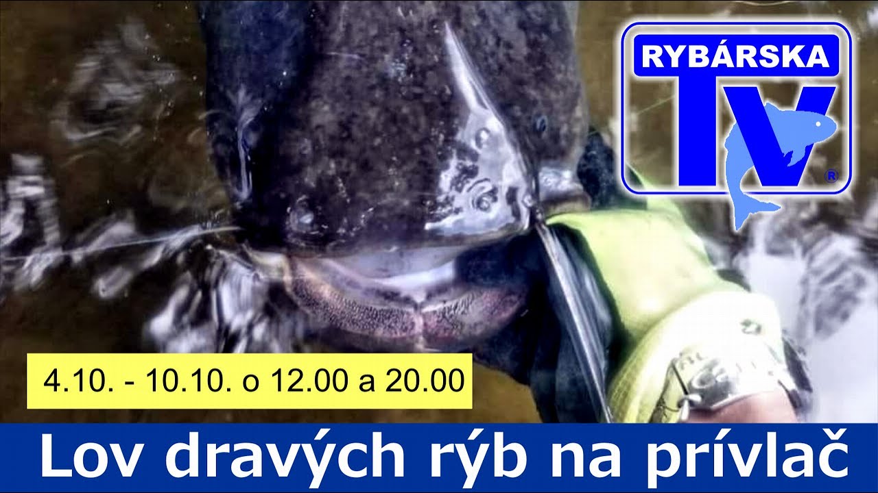 AKO NA LOV SUMCOV TECHNIKOU PRÍVLAČ