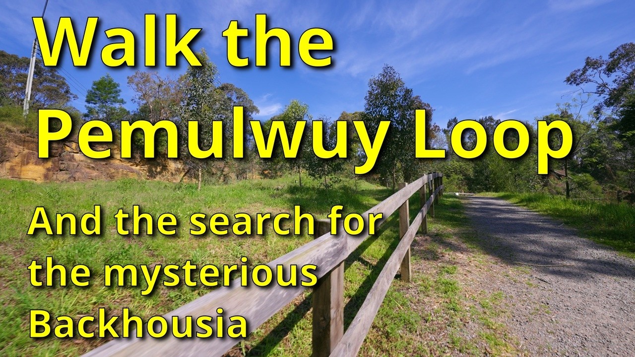 The Pemulwuy Loop Bushwalk 4k