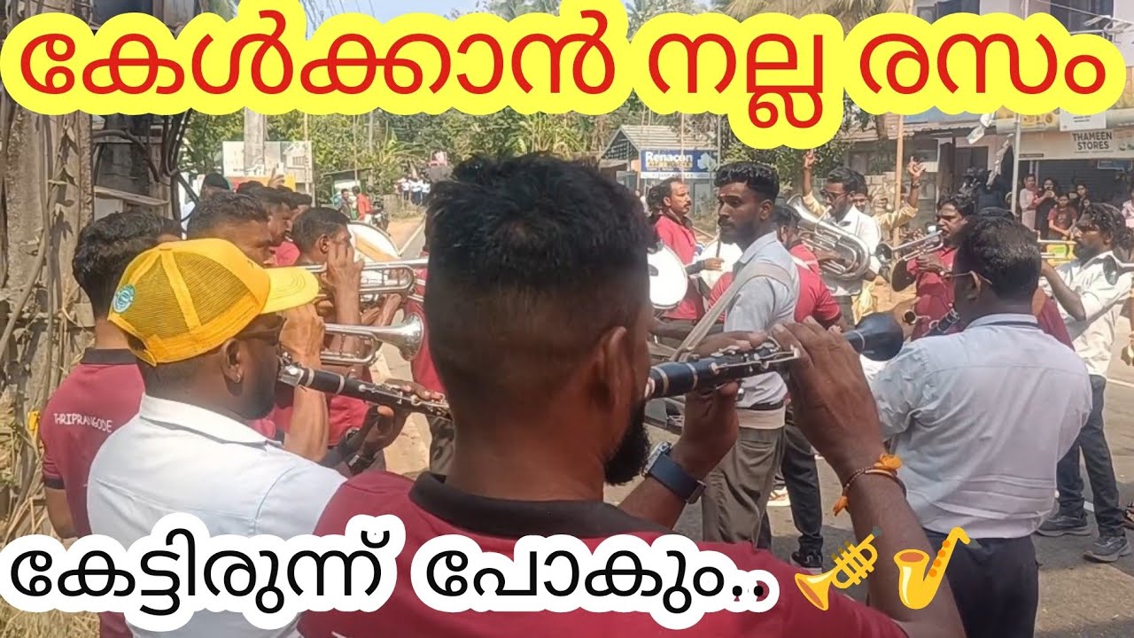 ഈ പാട്ട് കേൾക്കാൻ നല്ലൊരു സുഖം.||Aana||Eliphant||Feast2026|| Eliphantlove || Pooram