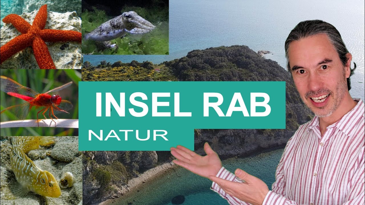 Insel Rab Natur