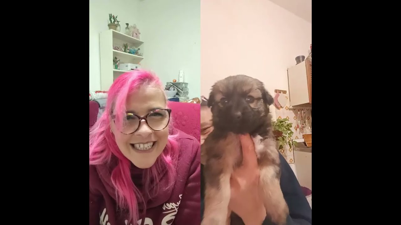 novità!!!!