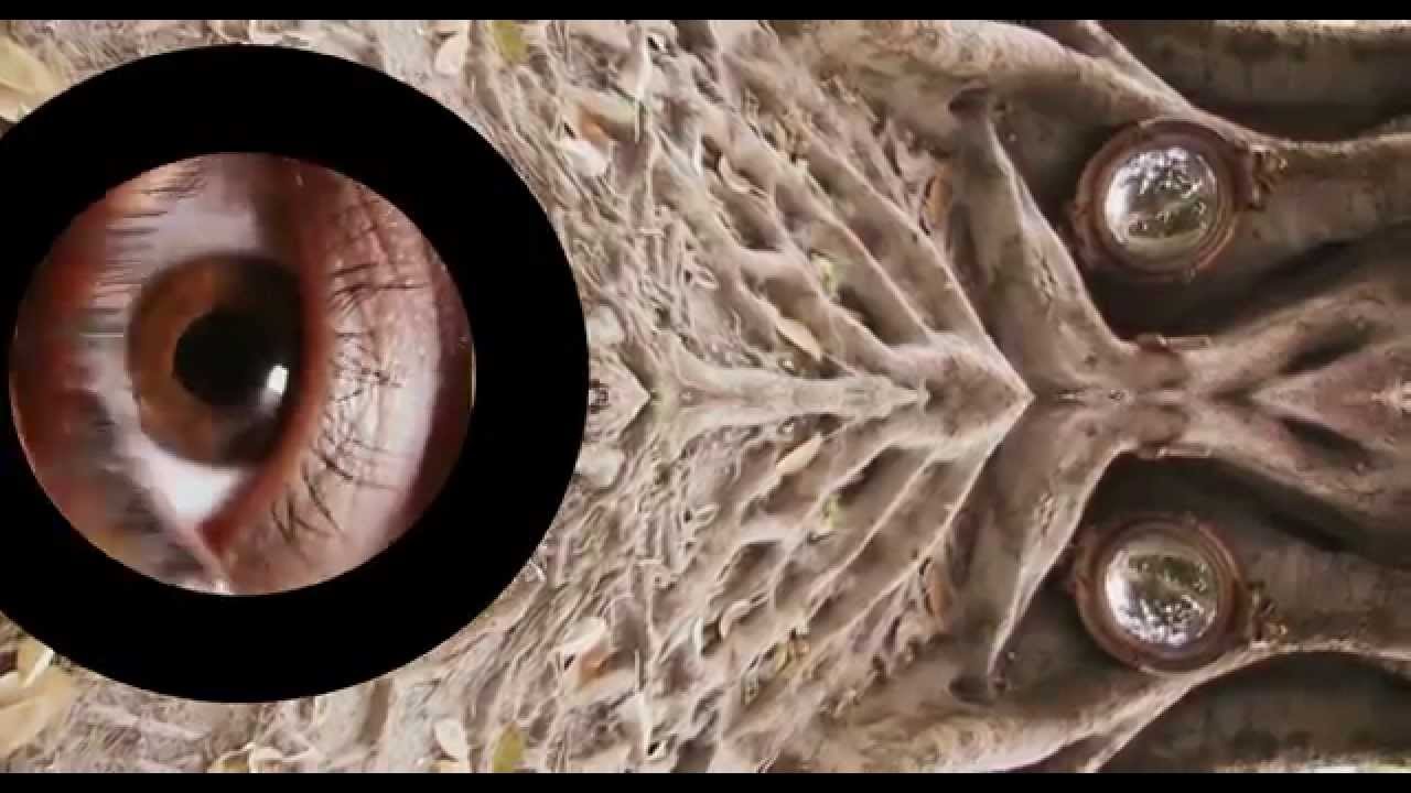 Creative Process Experiment with Audio and Video ASMR