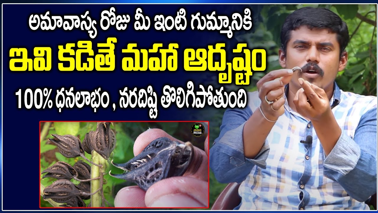 అమావాస్య రోజు మీ ఇంటి గుమ్మానికి ఇది కడితే 100% ధన లాభం కలుగుతుంది ||  Amavasya must do remedies