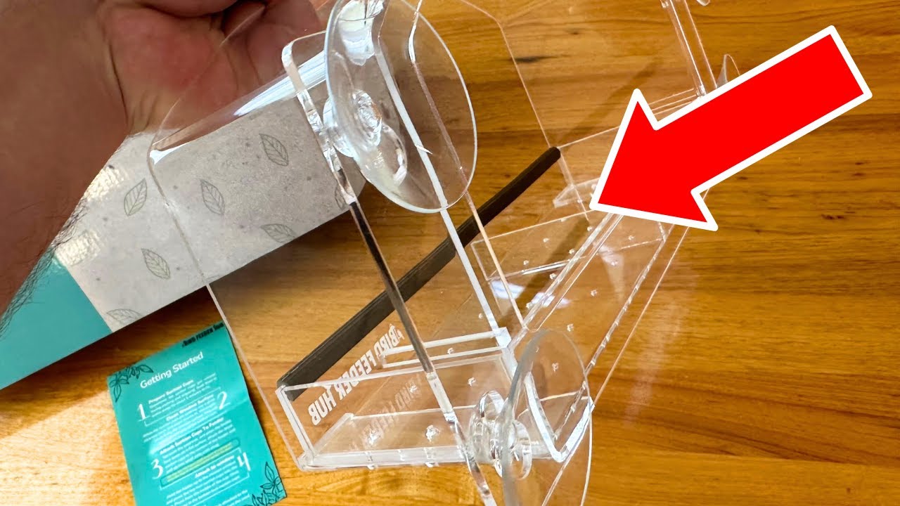 The BEST PVC Window Bird feeder? (Unboxing of Bird Feeder Hub)