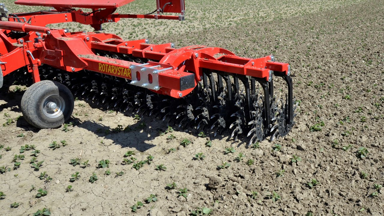 Rotorhacke | Rotary hoe | Houe rotative EINBÖCK ROTARYSTAR