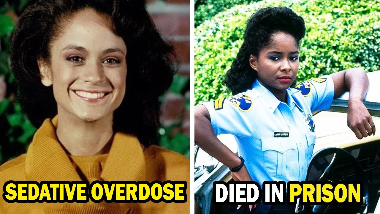 In the Heat of the Night (1988–1995) Cast THEN and NOW, You'd Never Recognize!