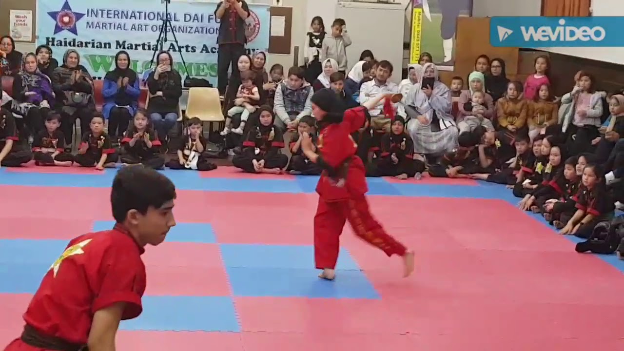 World Dai fu Martial arts organization under supervision of grand Master Haidarian