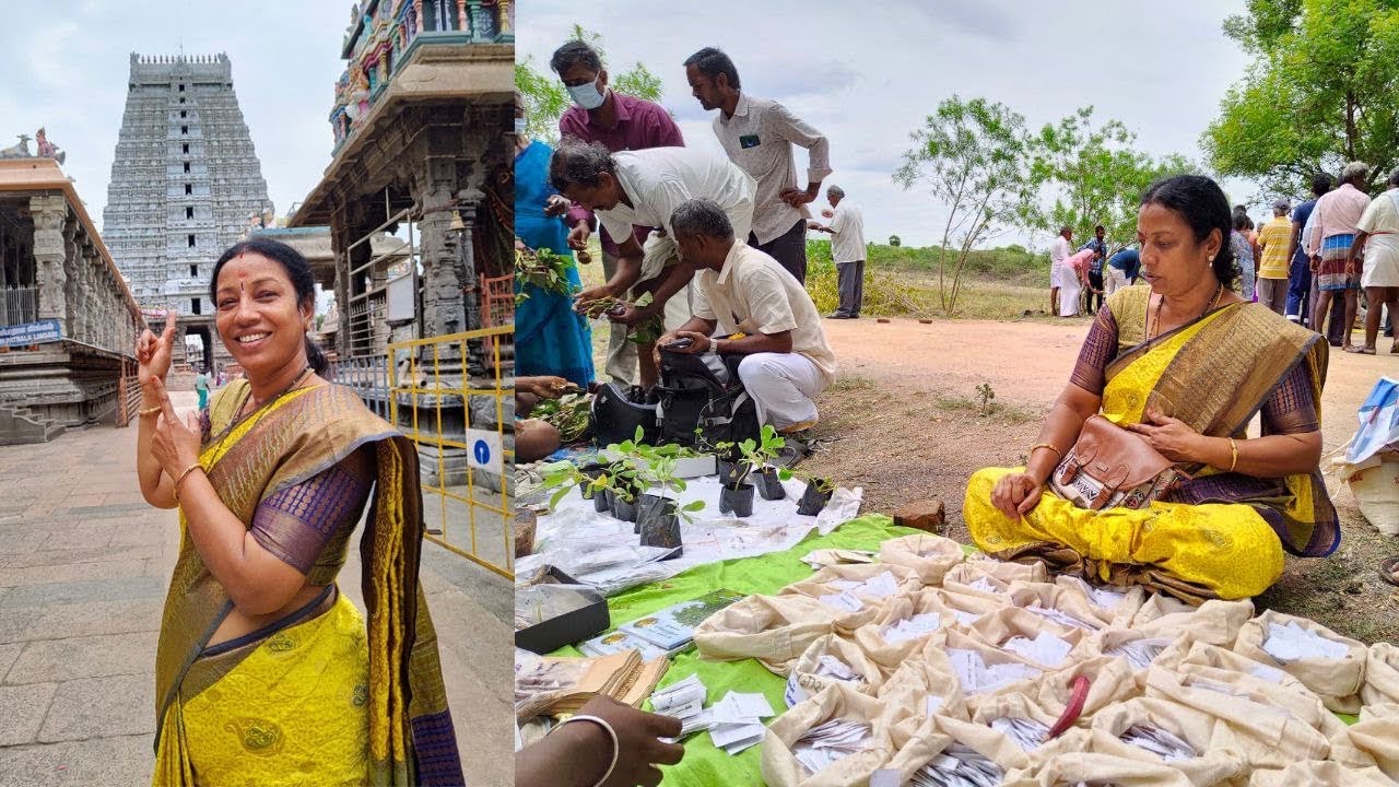 கலசப்பாக்கம் பாரம்பரிய விதை திருவிழா & அண்ணாமலையார் தரிசனம் temple visit 😍