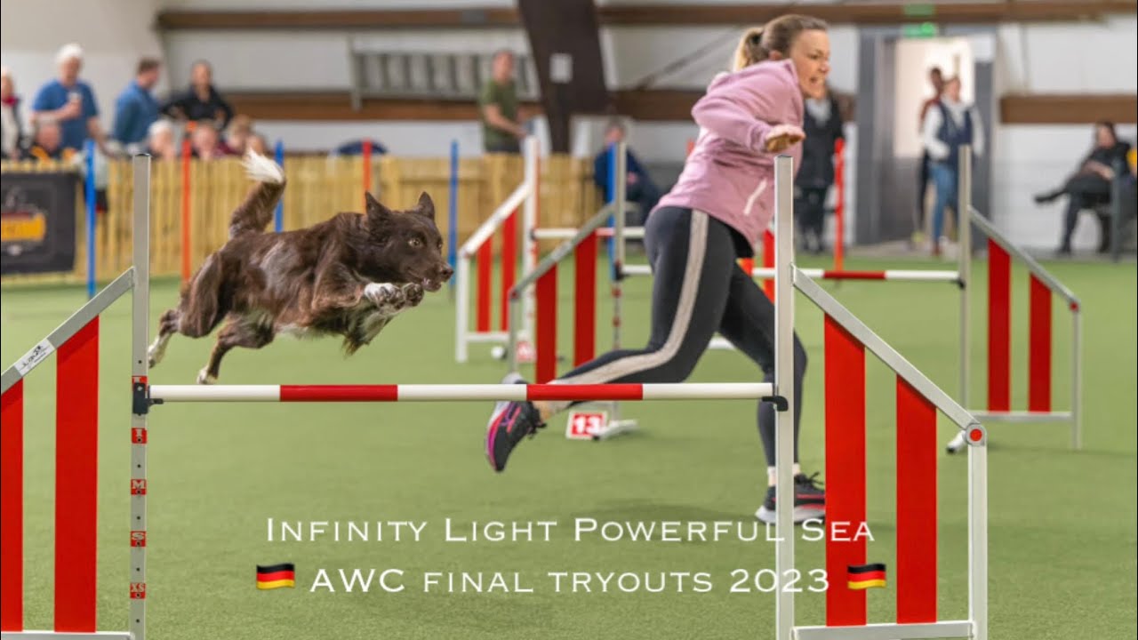 🇩🇪 AWC final tryouts 2023 🇩🇪 - Mona Grefenstein & Infinity Light Powerful Sea