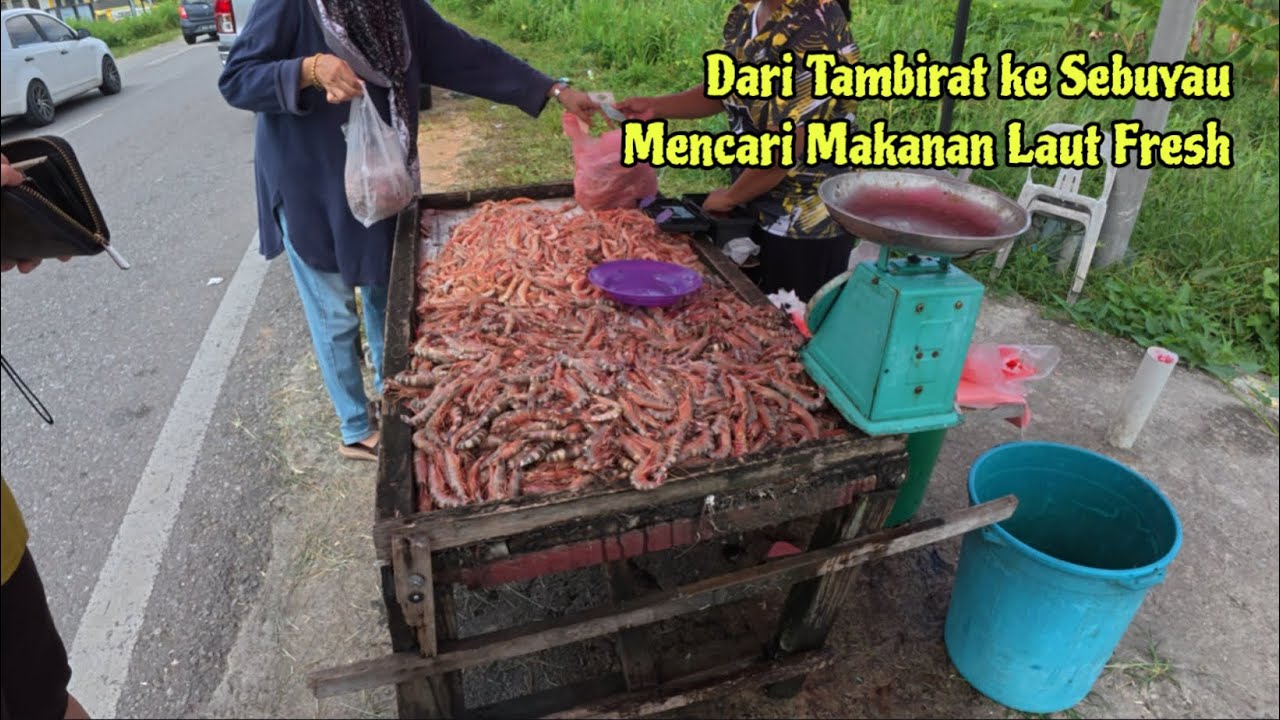 Mencari Makanan Laut Fresh Di……..