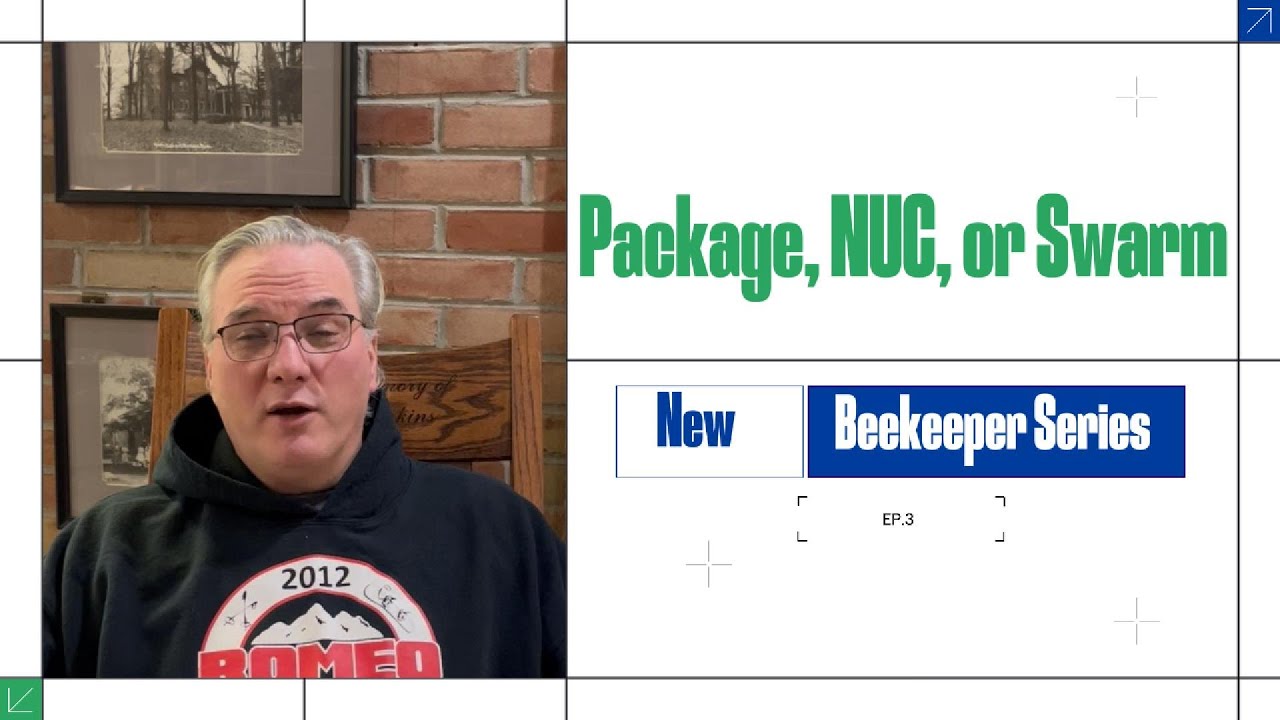 Package, Nuc, or Swarm? New Beekeeper Series.