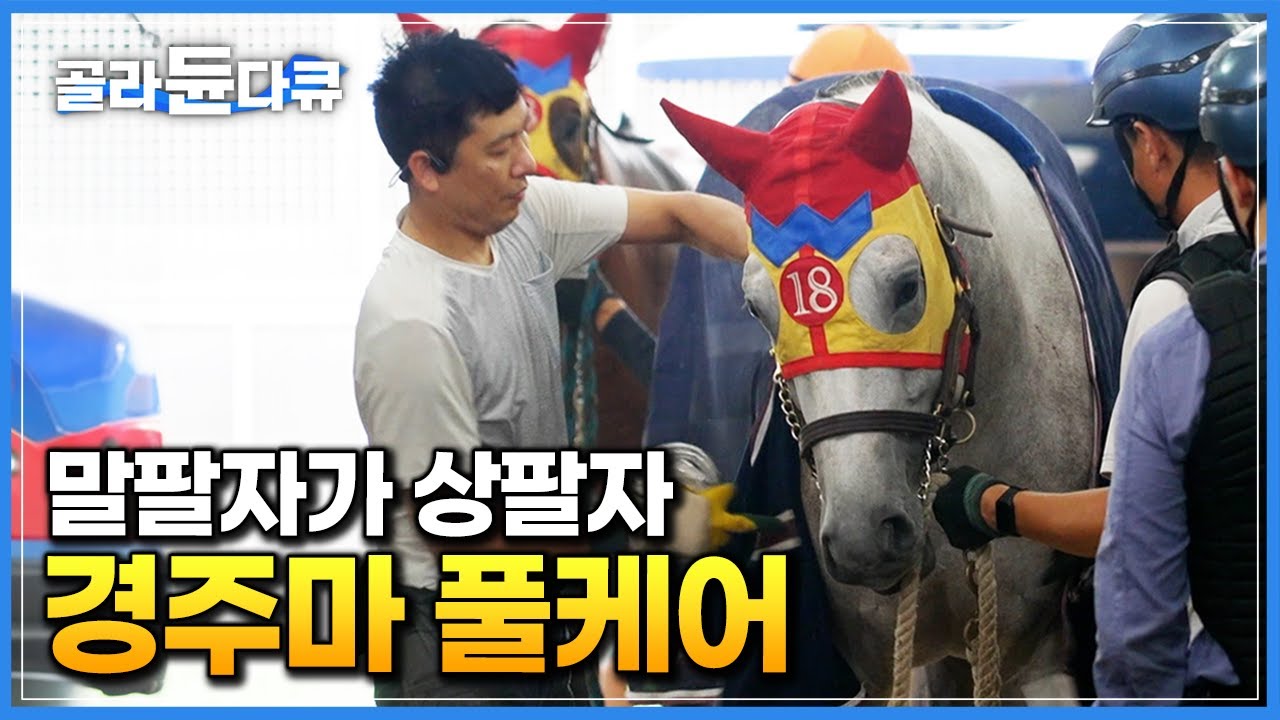 경마공원 말들은 어떻게 살까? 24시간 풀케어 받는 경주마의 삶｜마방 24시｜마필관리사｜장제사｜PD로그｜#골라듄다큐