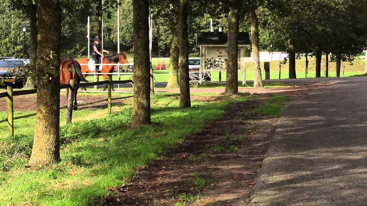 Ponykamp op Manege Laarbrug