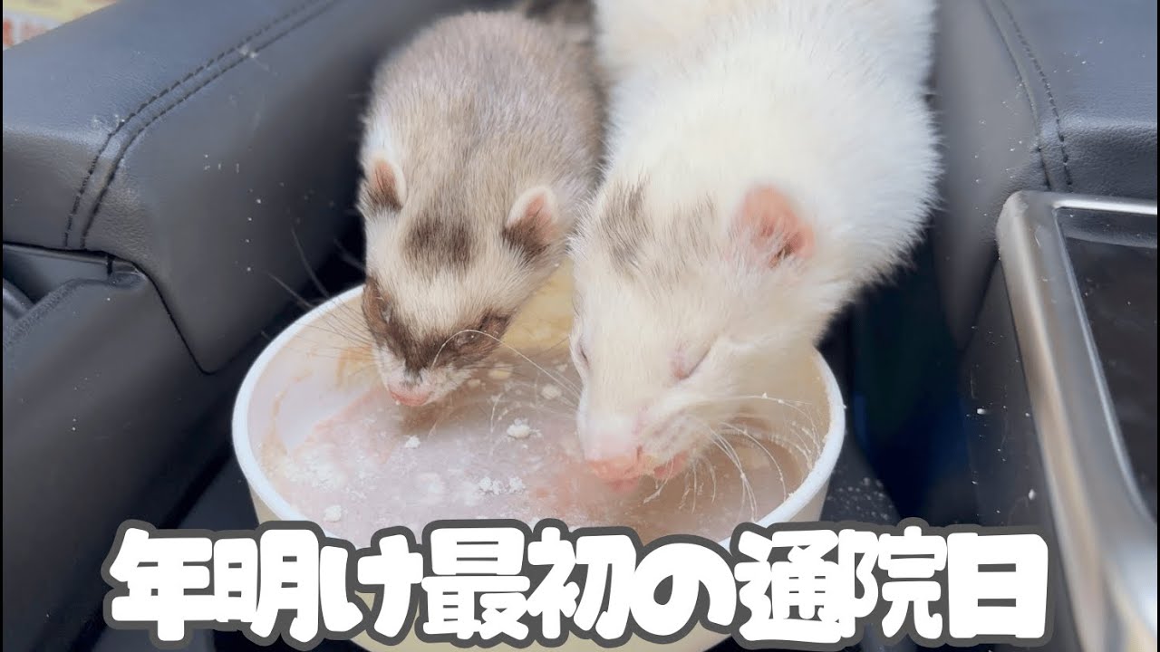 年明け最初の通院日。向き合うこと、救われたこと【ferret#1963】