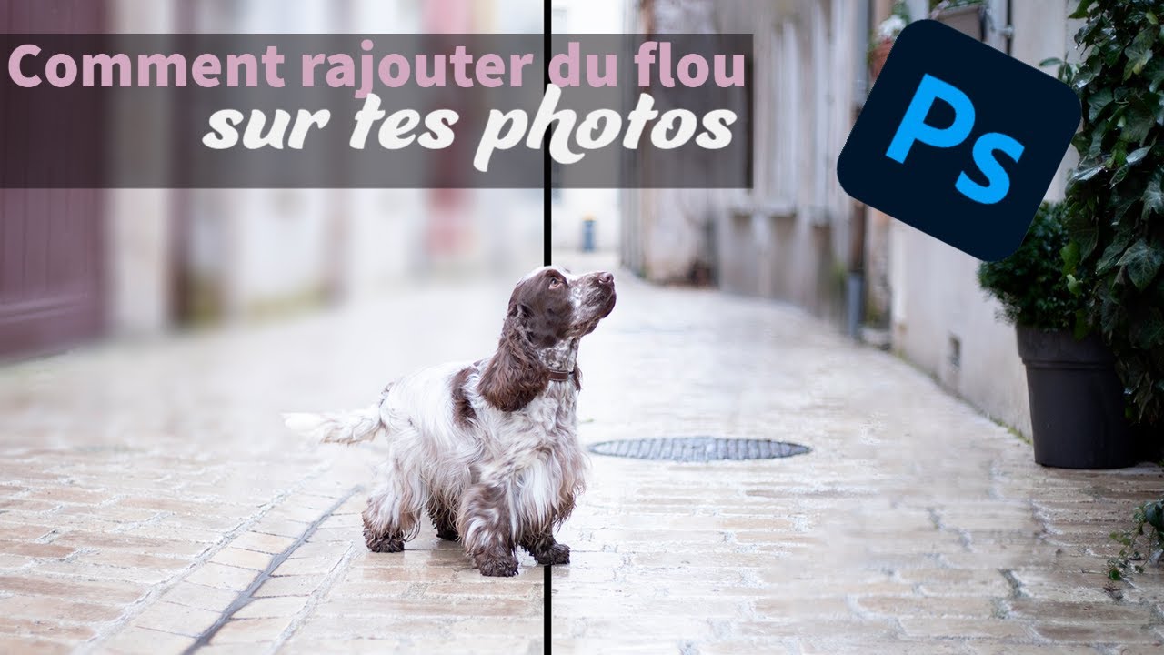 Rajoute du flou sur tes photos via Photoshop