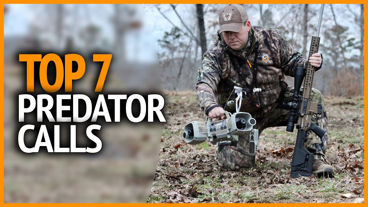 Best Predator Calls 2023 | Top 7 Electronic Predator Calls