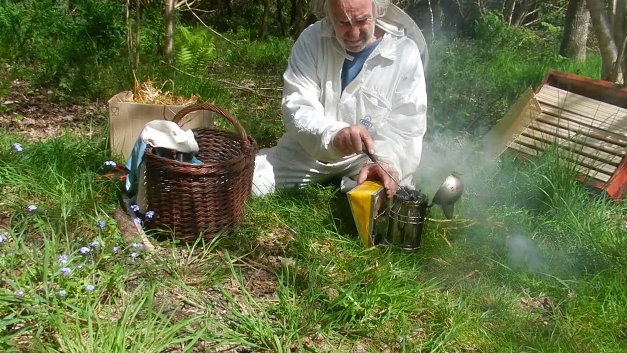 L' enfumoir comment bien allumé son enfumoir pour calmer les abeilles apiculture pratique