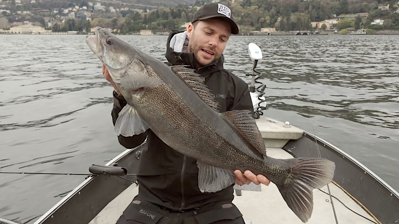 Pesca al LUCIOPERCA con SWIMBAIT e JERK