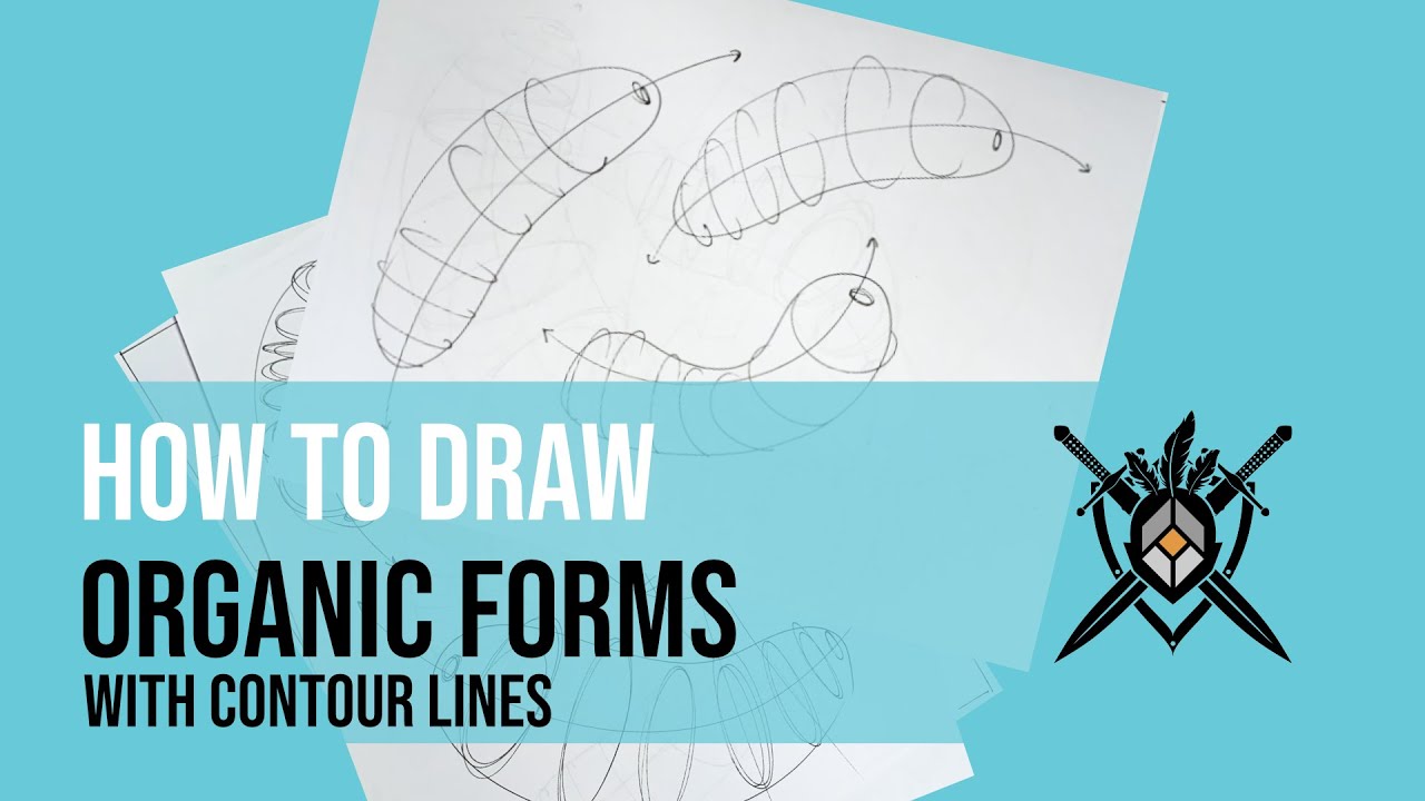 How To Draw Organic Forms With Contour Lines