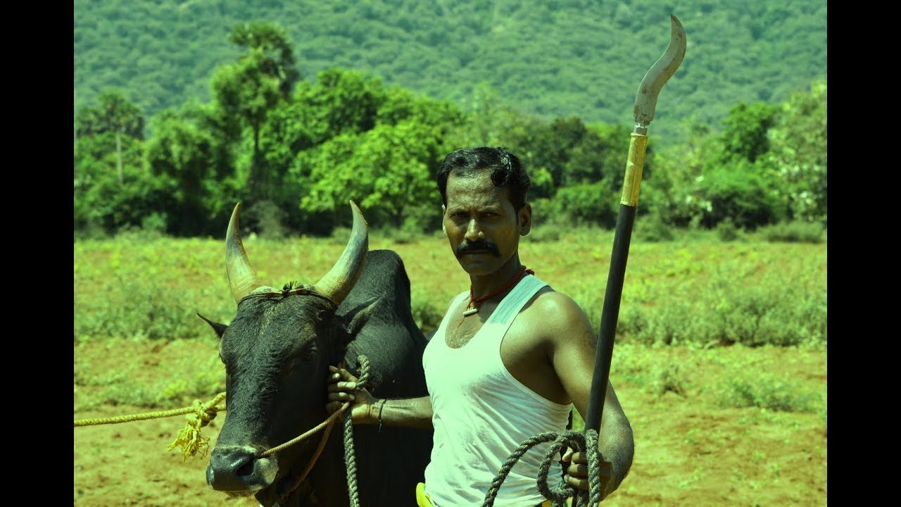 ILANDHARI