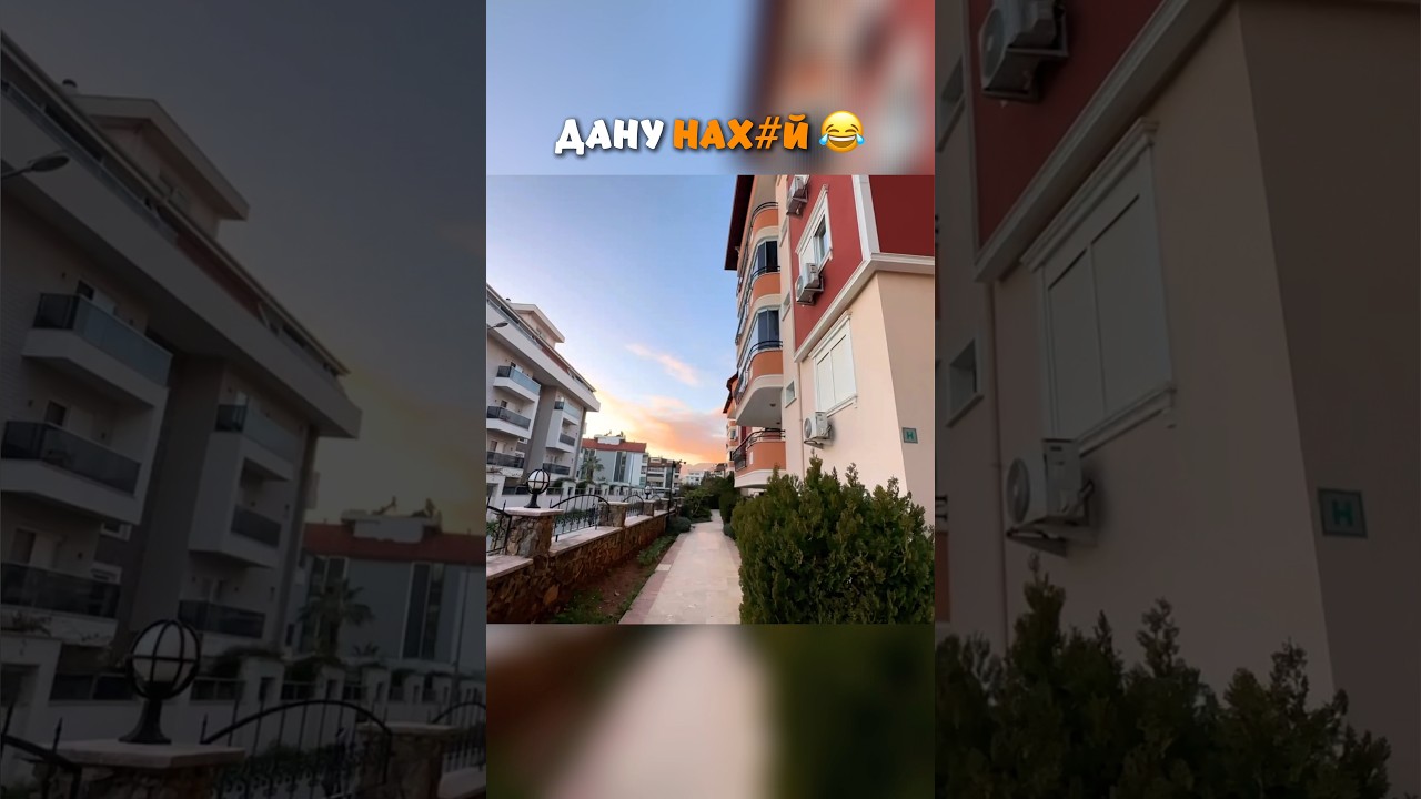 Дану нах#й😂 берсер как всегда в своем репертуаре) #рекомендации #рек