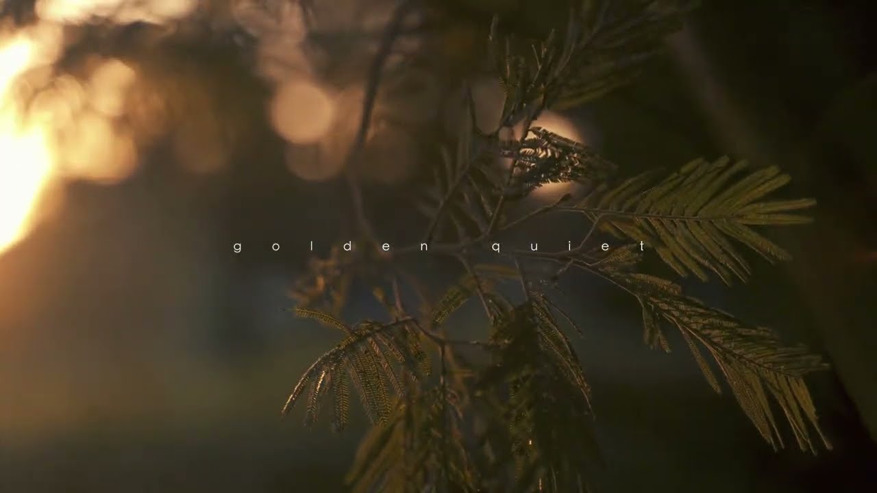 golden quiet