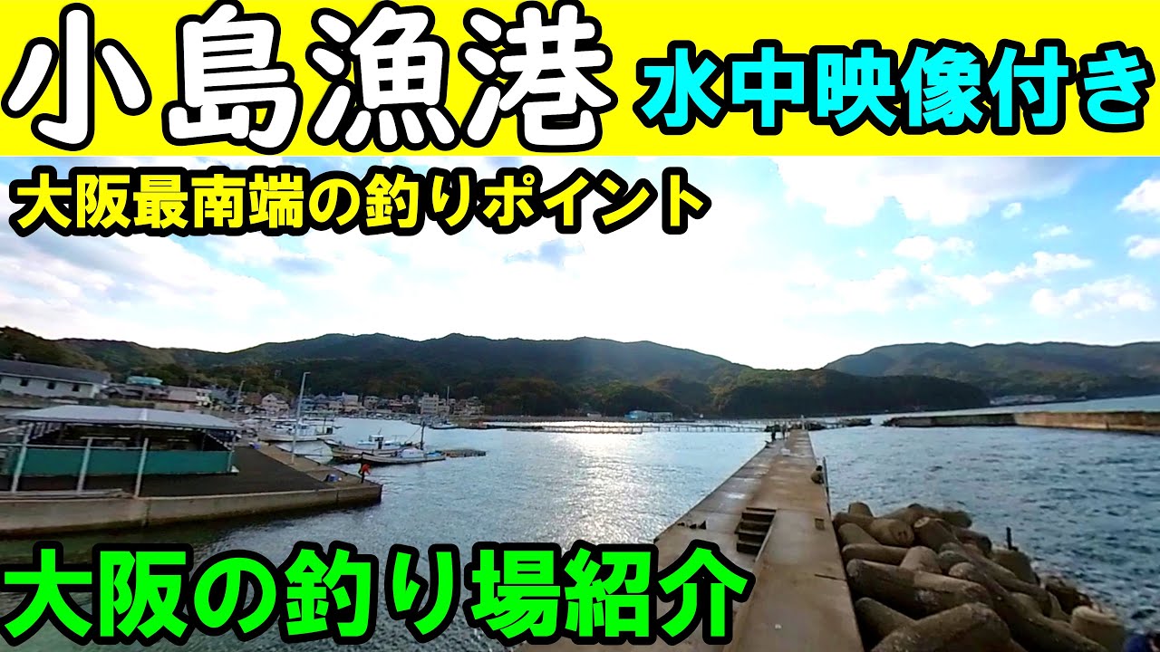 大阪の小島漁港横の釣り場を水中映像付きで紹介！釣りスポットを完全攻略！