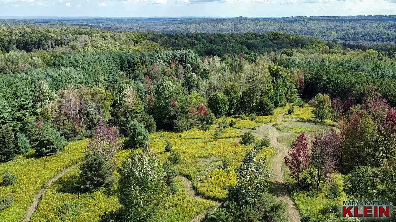 MULMUR, ON - 33.35 Picturesque Acres with Stream For Sale | KLEIN