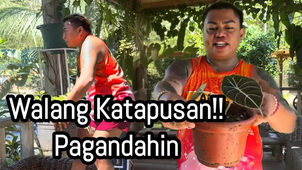 WALANG KATAPUSAN!! PAGANDAHIN ANG WAITING AREA!! #brendamage 