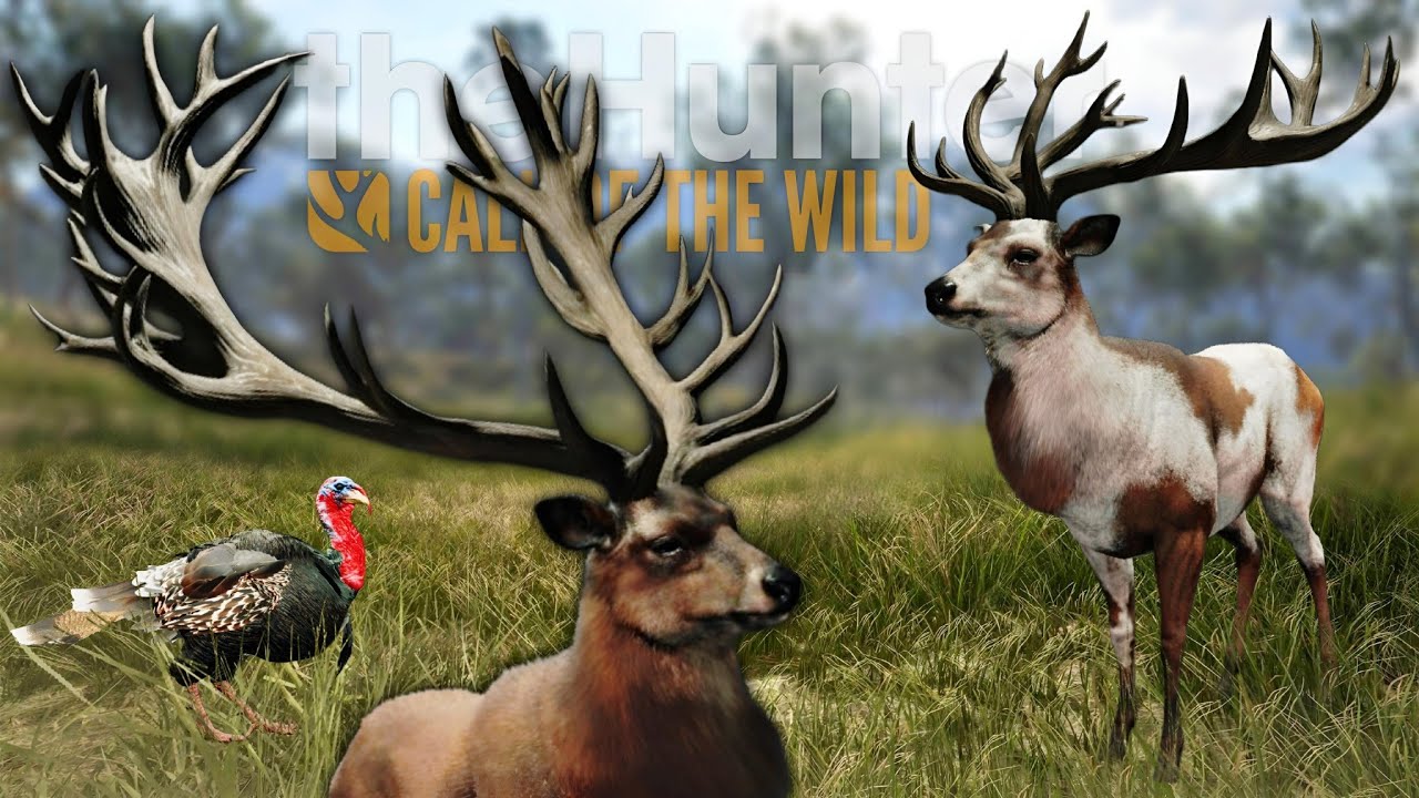 CAÇANDO ANIMAIS LENDÁRIOS, DIAMANTES e RAROS! - The Hunter Call Of The Wild