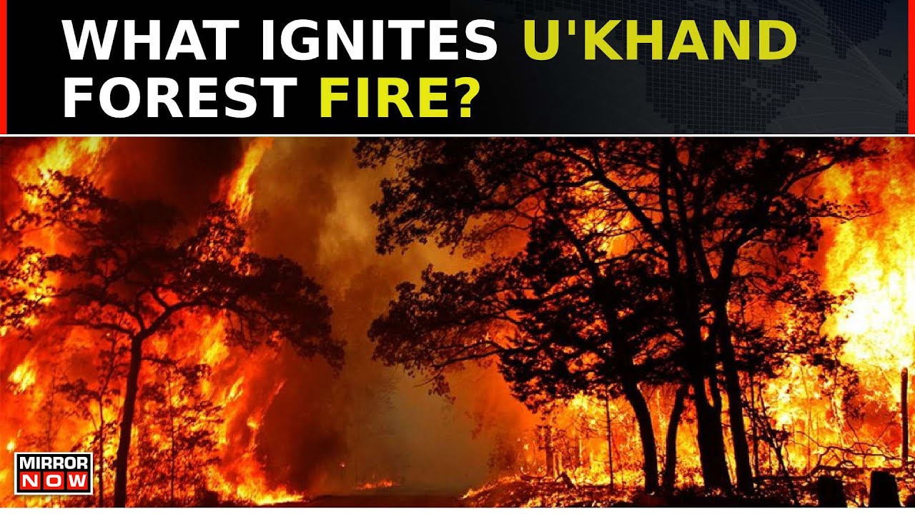 Wildfire In Uttarakhand's Jungles Interrupt Flights | Ash Dust Spook People's Lungs | Top News