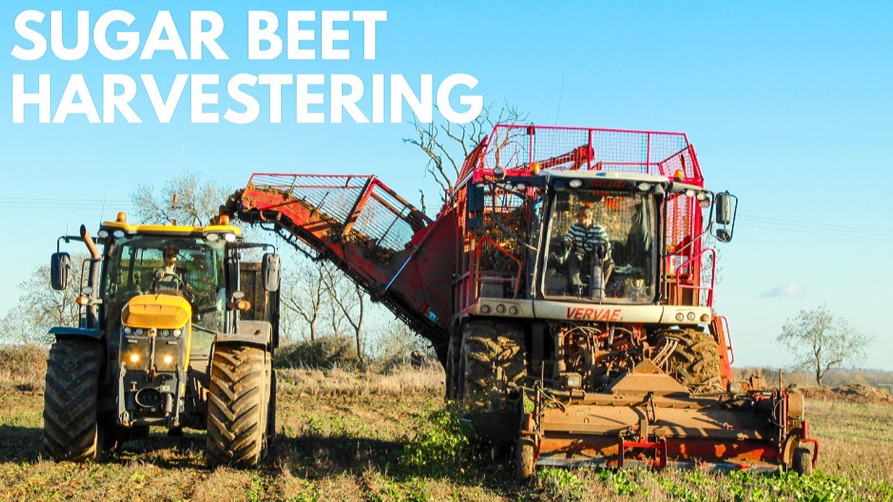 Vervaet Beet Eater 625 Six-Row Sugar Beet Harvester - 2019