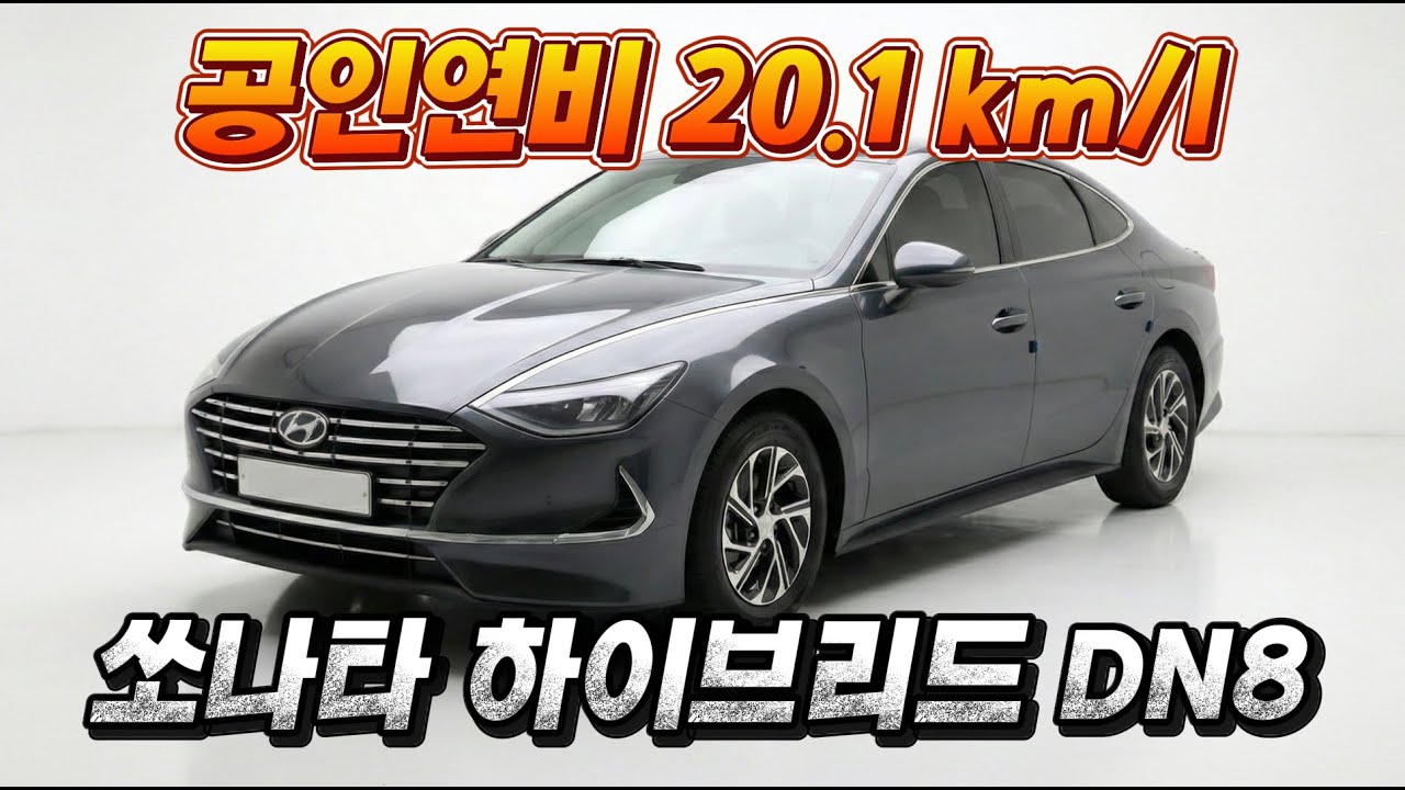 휘발유 냄새만 맡아도 갑니다. 쏘나타(DN8) 하이브리드 소개합니다.