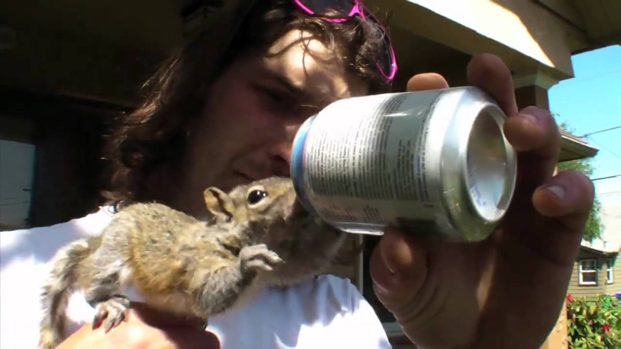 Squirrel baby raised by Portland man becomes his best friend