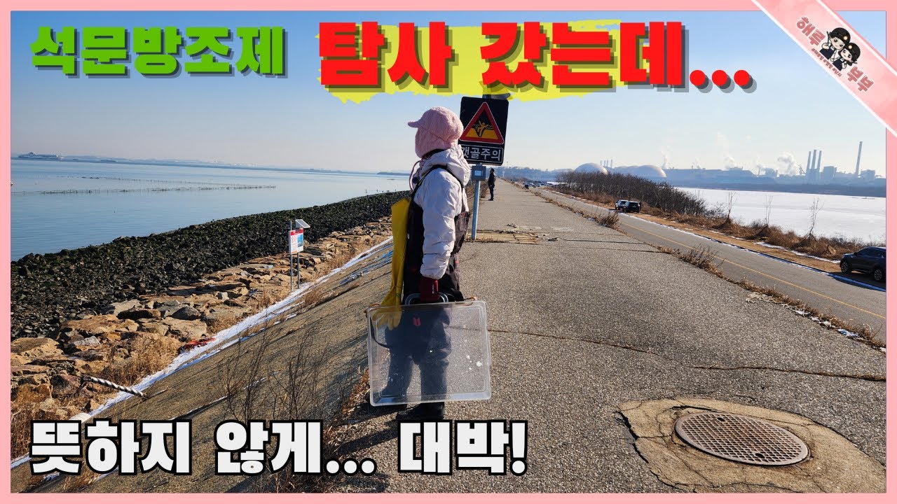 석문방조제 한겨울 해루질 탐사 갔다가 대박 터졌어요!!