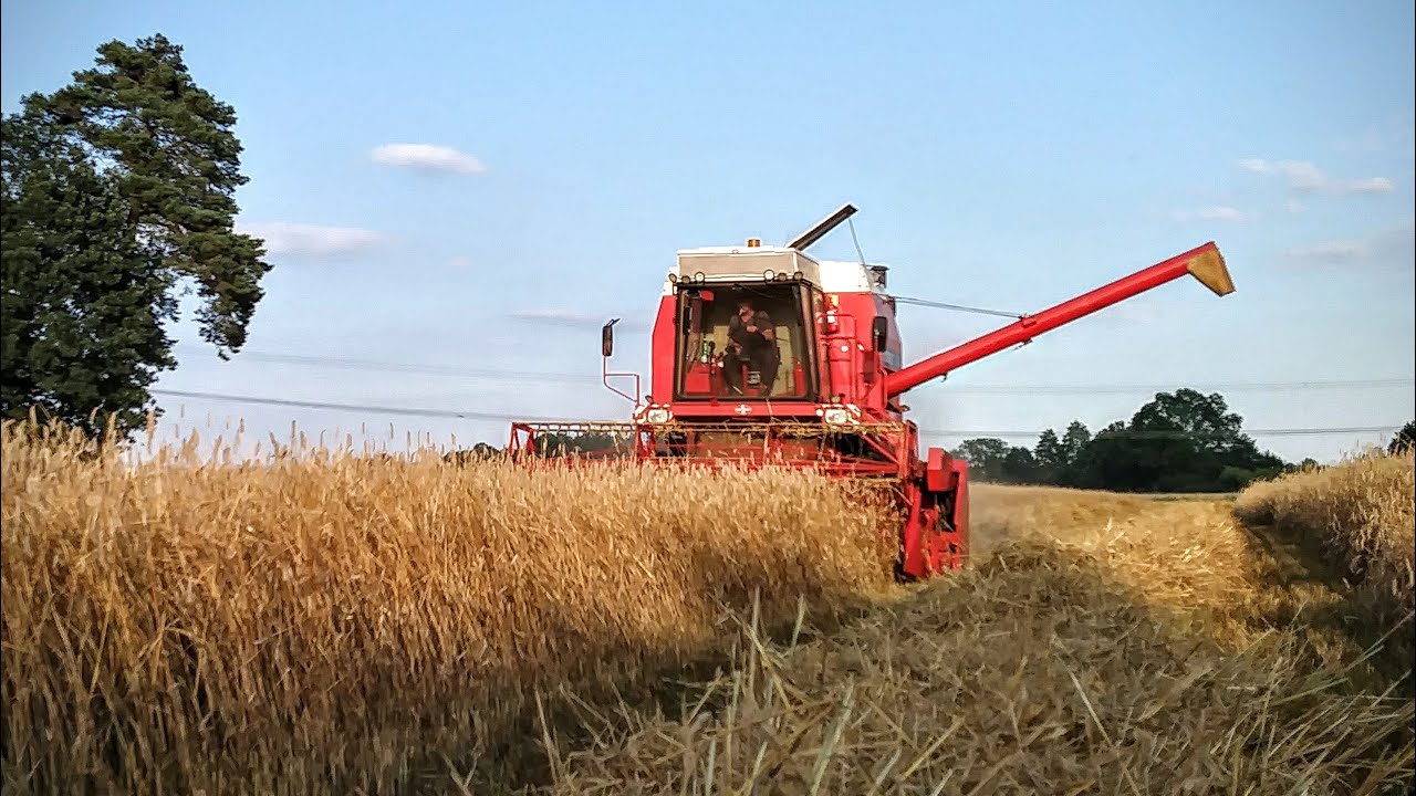 Fortschritt E 514 SX in der Roggenernte