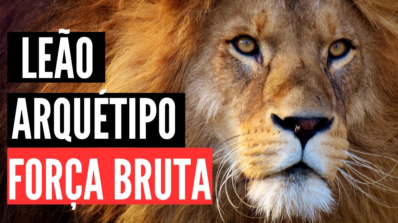 O Incrível Arquétipo do Leão 🦁