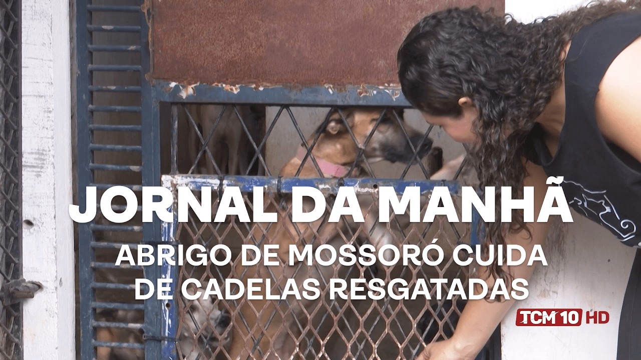 Jornal da Manhã - Abrigo de Mossoró cuida de cadelas resgatadas
