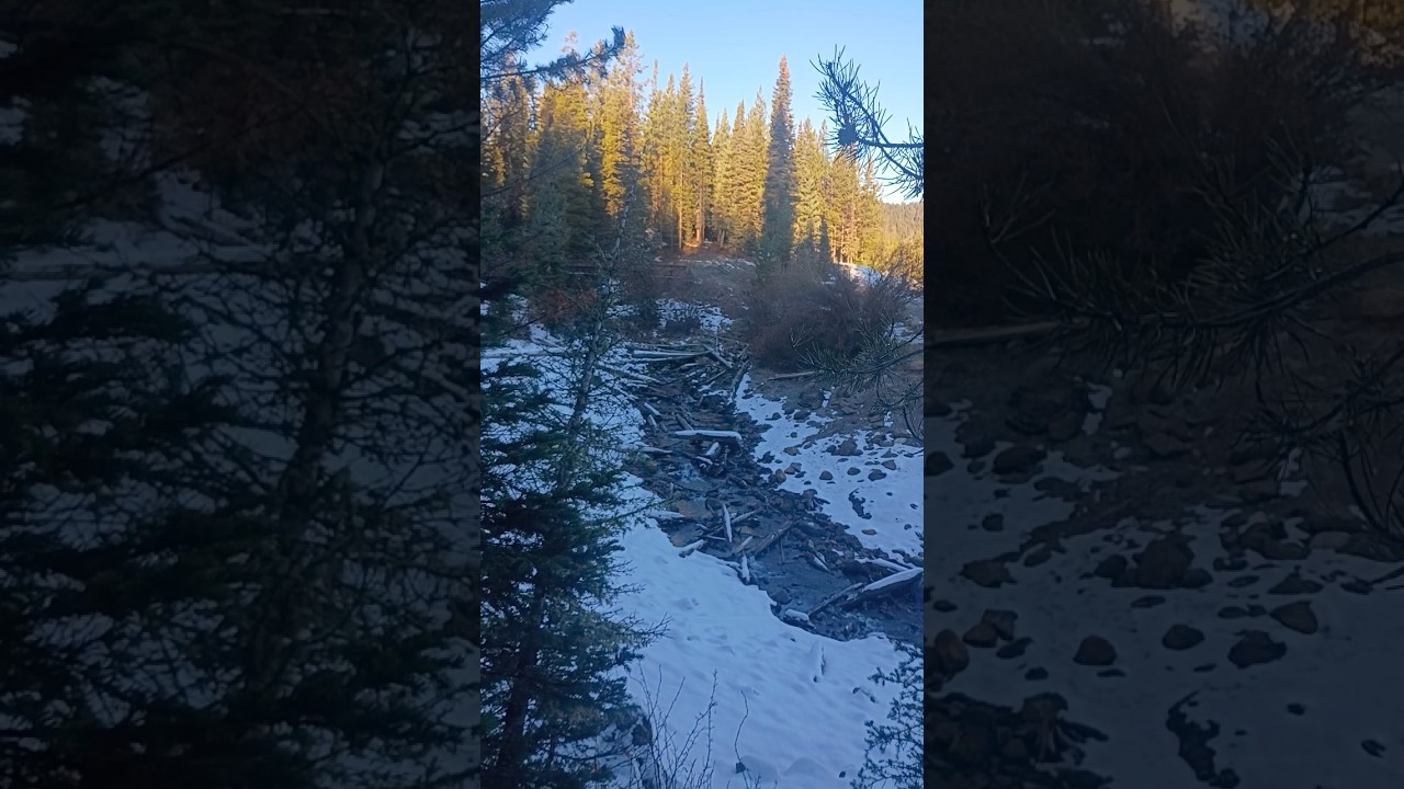 Hiking In The Snow 😍🌨️#snow #ice #snowhiking