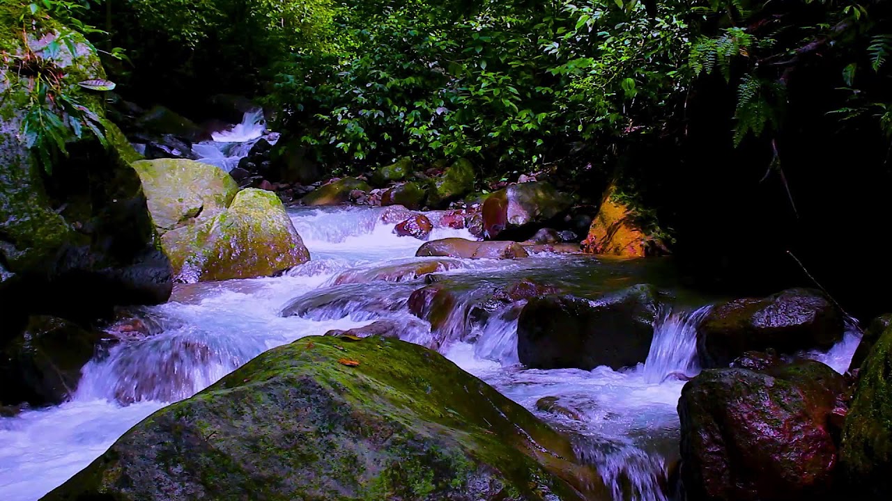Peaceful Mountain River Evening | Nature Water Sounds for Deep Sleep Relaxation