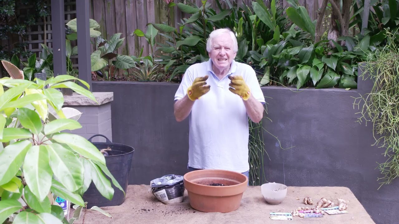Learn from Graham Ross about how to grow bulbs in pots successfully.