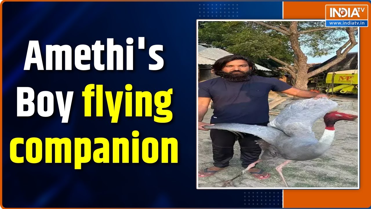 Sarus crane and Amethi's boy Special bond wins hearts | Viral Video
