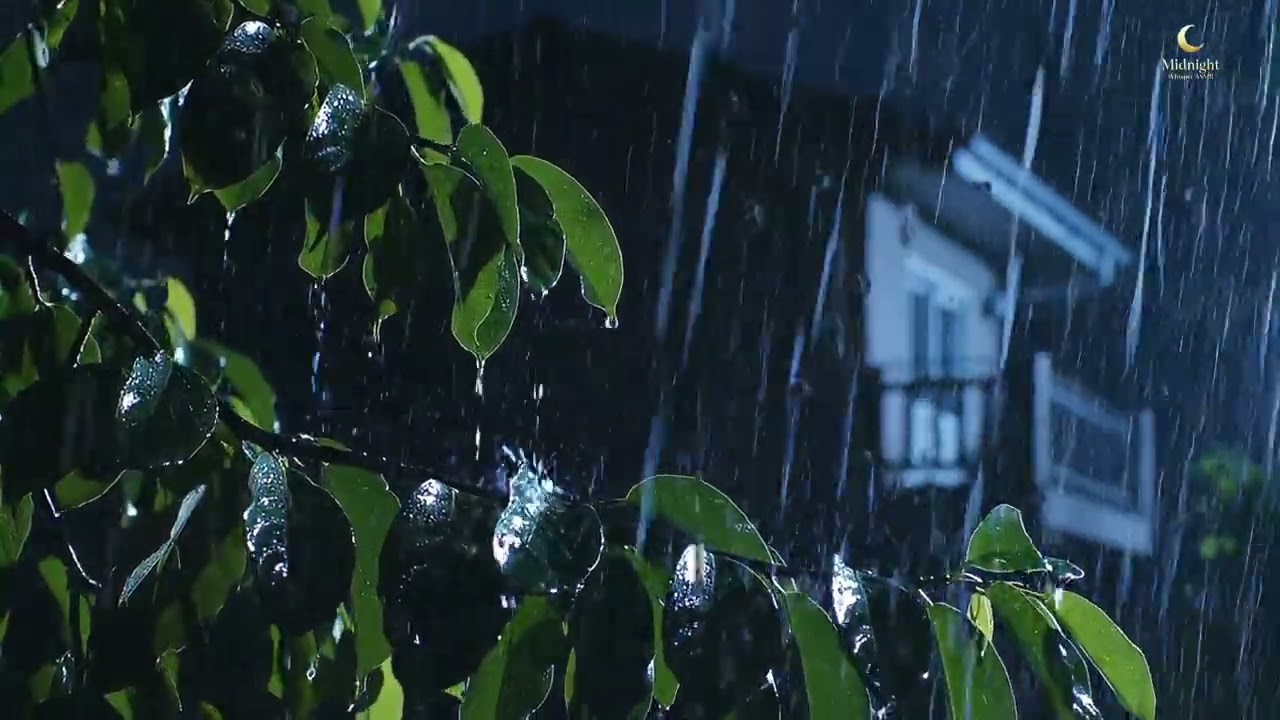 Rain on Leaves with Soft Thunder | Cozy Night Forest Ambience (2 Hours)