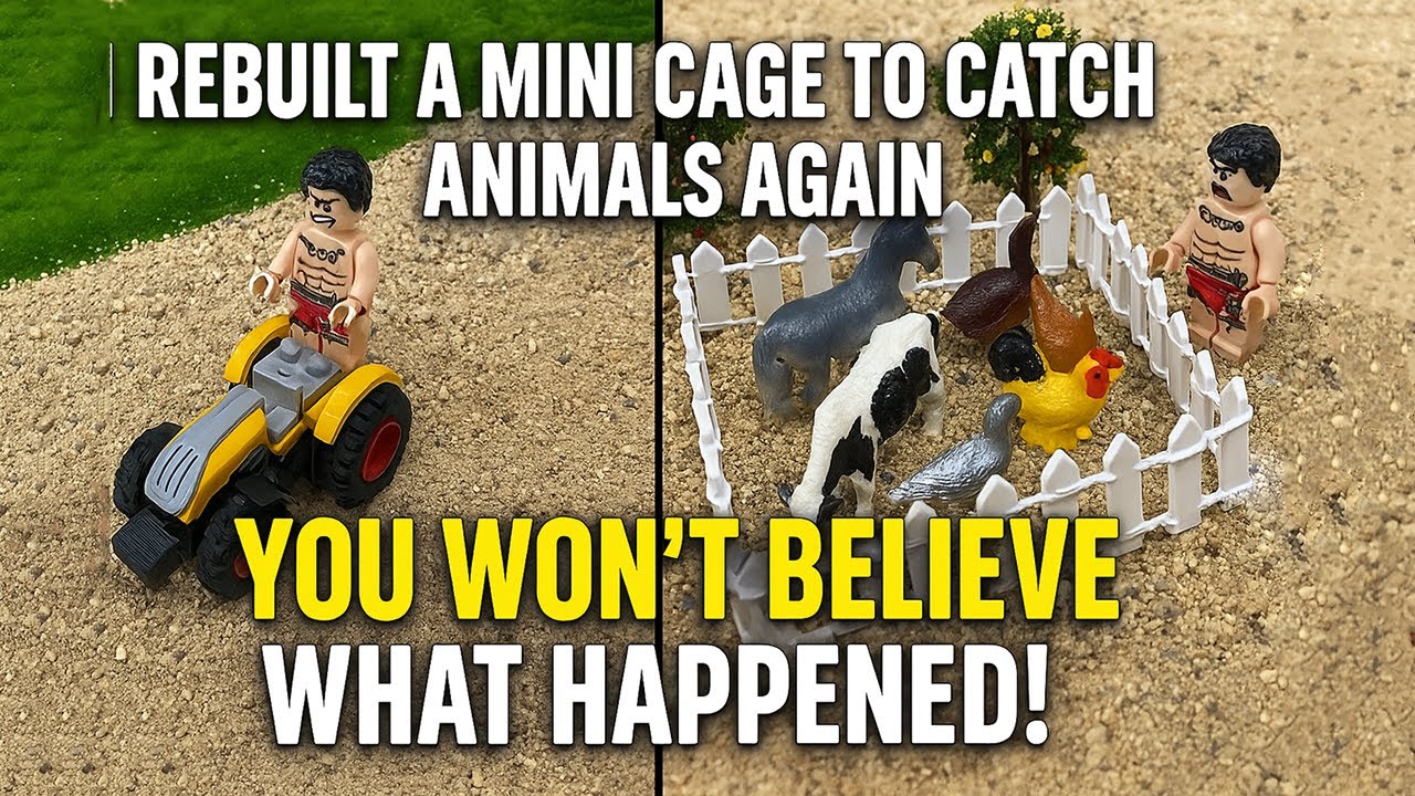 Rebuild the Mini Cage and Catch Animals Again  | DIY Animal Trap Project