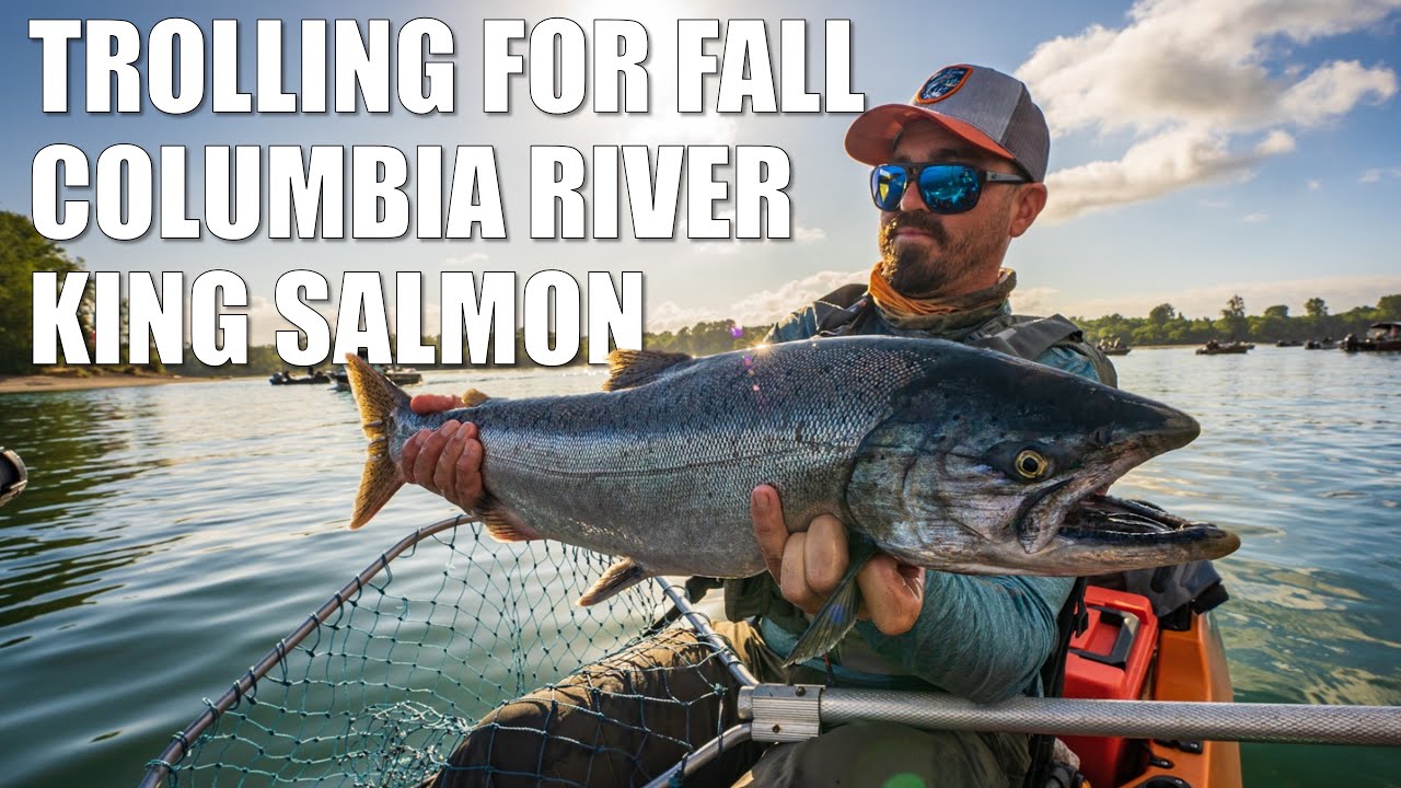How to Troll for Columbia River Fall Chinook Salmon