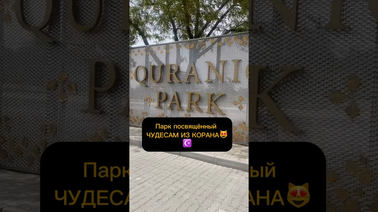 Хотели бы побывать тут?😻#ислам#islam#коран#qoran