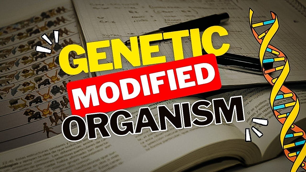 Genetically modified organisms (GMOs) | Transgenic Animals and Plants | Class 12 | Biotech