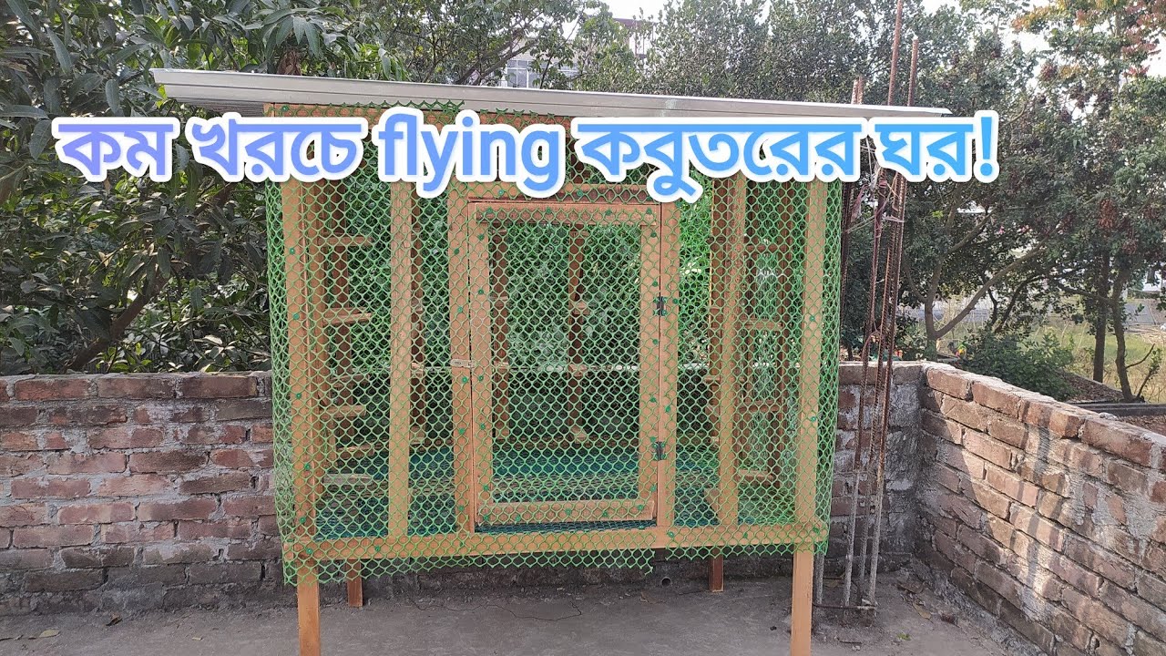 কম খরচে flying কবুতরের ঘর তৈরি করুন!how to make flying pigeon loft।
