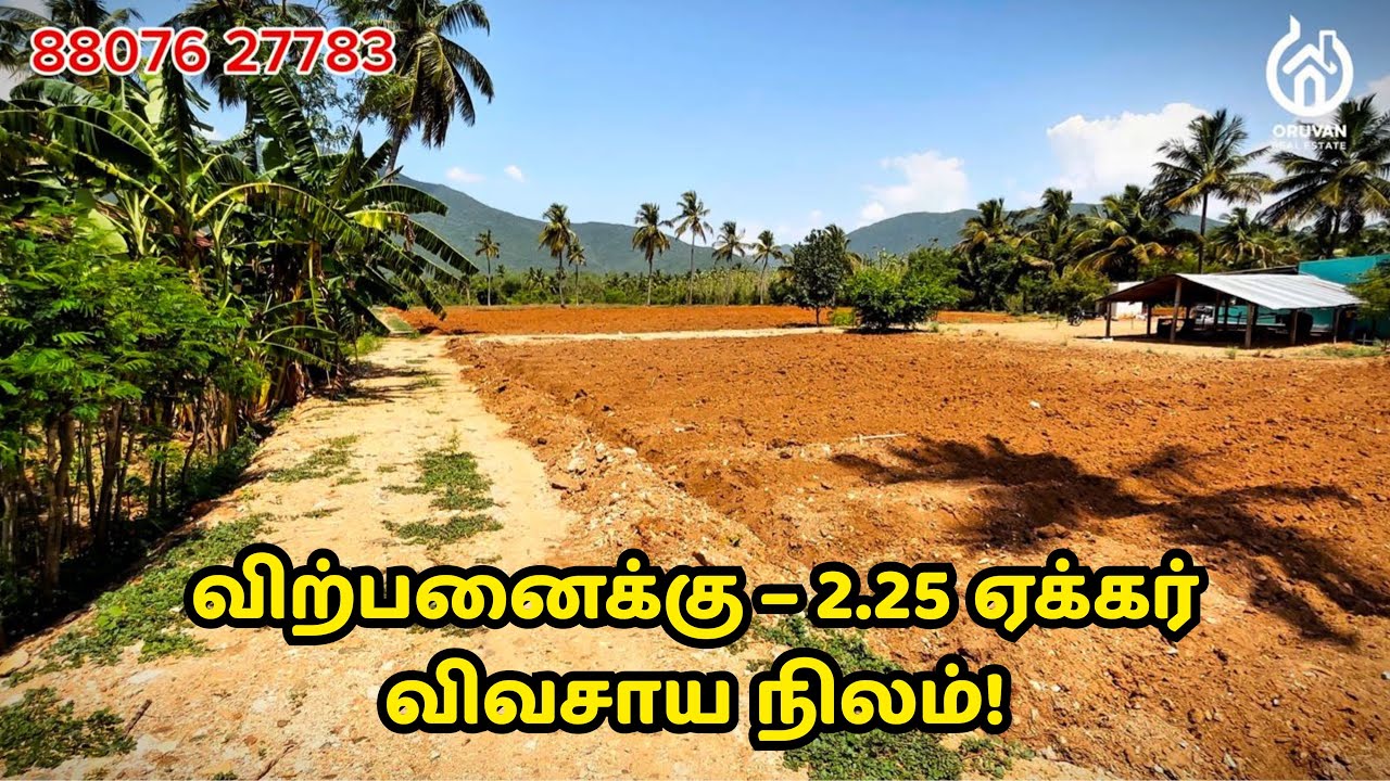 2.25 ஏக்கர் நிலம் விற்பனைக்கு 🚜 | Agriculture land for sale | விவசாய நிலம் | @oruvan-rs
