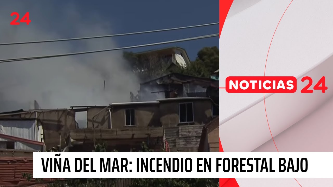Viña del Mar: al menos cinco casas afectadas por incendio en Forestal Bajo | 24 Horas TVN Chile